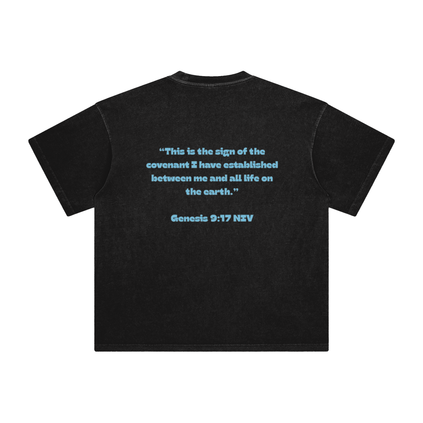 God’s Covenant Unisex Tshirt